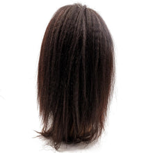 Load image into Gallery viewer, Kinky Straight Mono Lace Front PU Medical Wig